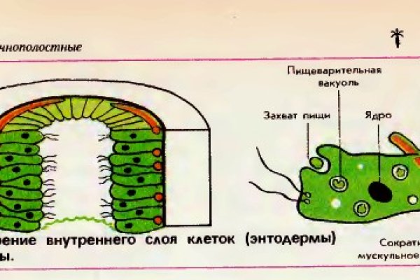 Как войти в кракен