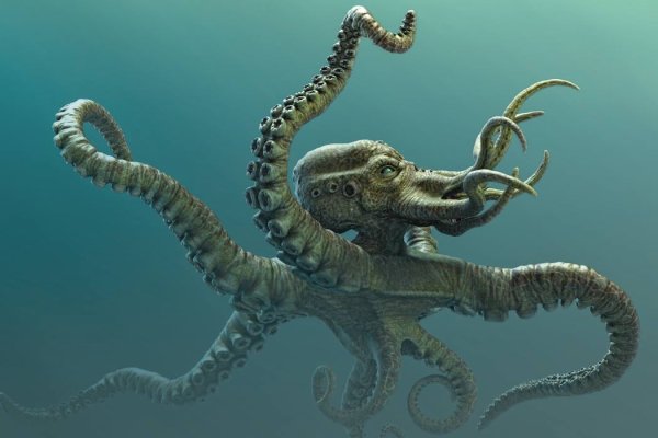 Kraken зеркало официальный