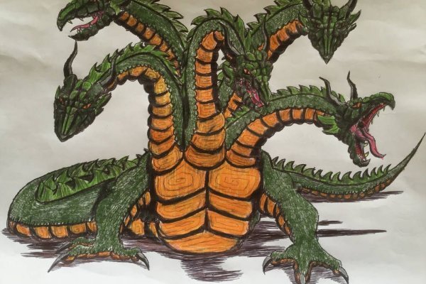 Kraken20 at